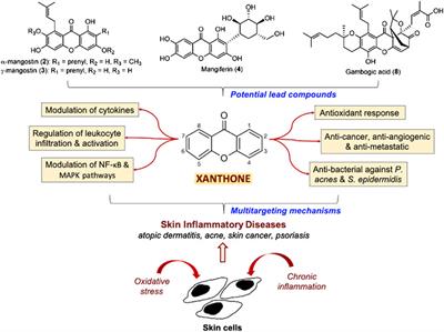 Natural Xanthones and Skin Inflammatory Diseases: Multitargeting Mechanisms of Action and Potential Application